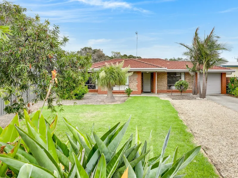 Enjoy the Best of the Bay!