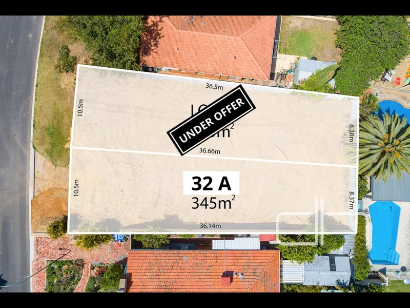 //THE OPPORTUNITY™