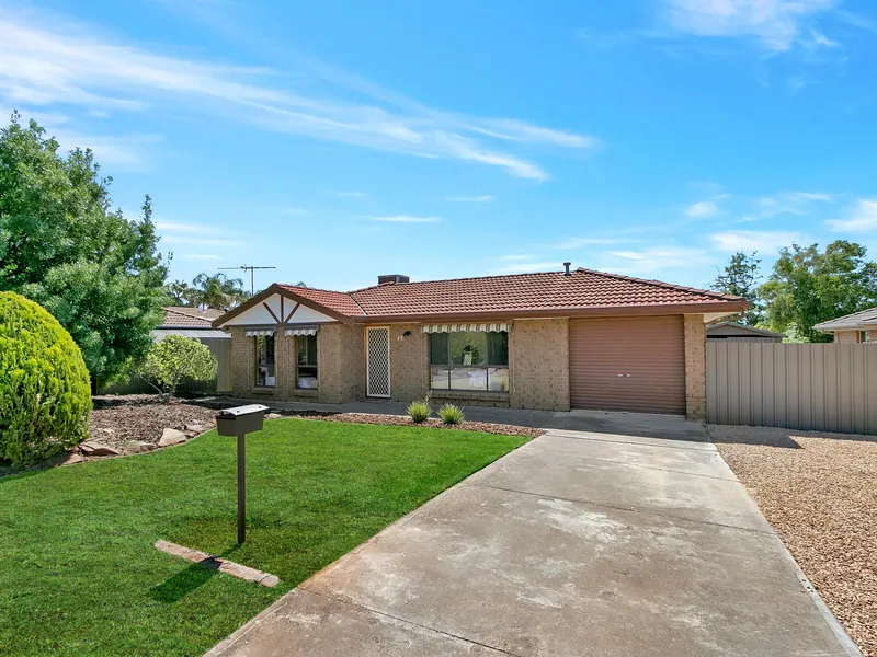 Adventure onto Adams Road!