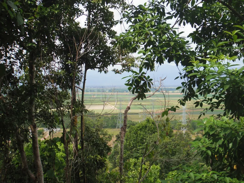 Affordable Private Rainforest