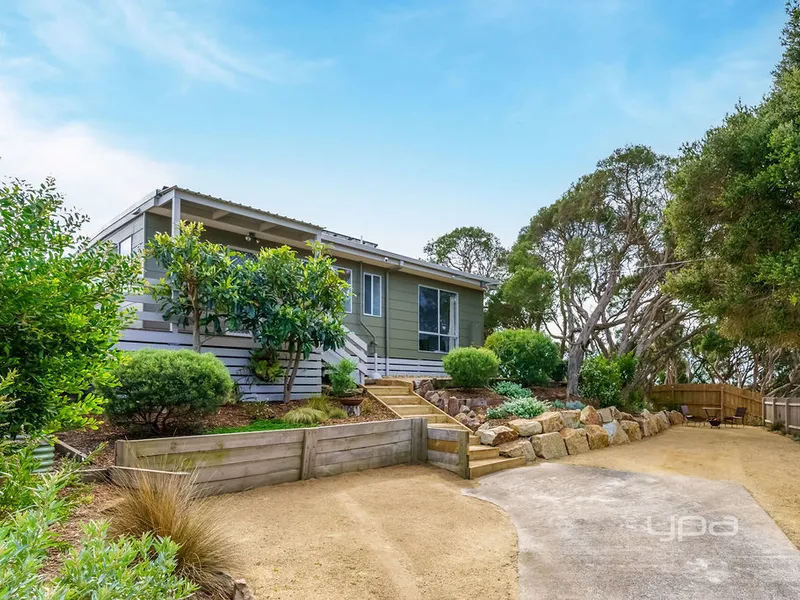 TREETOP TRANQUILLITY