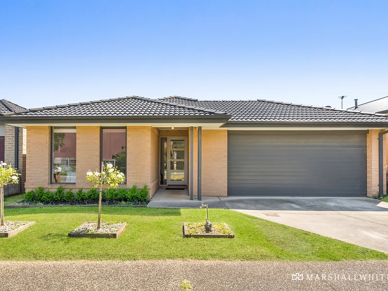 Single Level, Low Maintenance Living