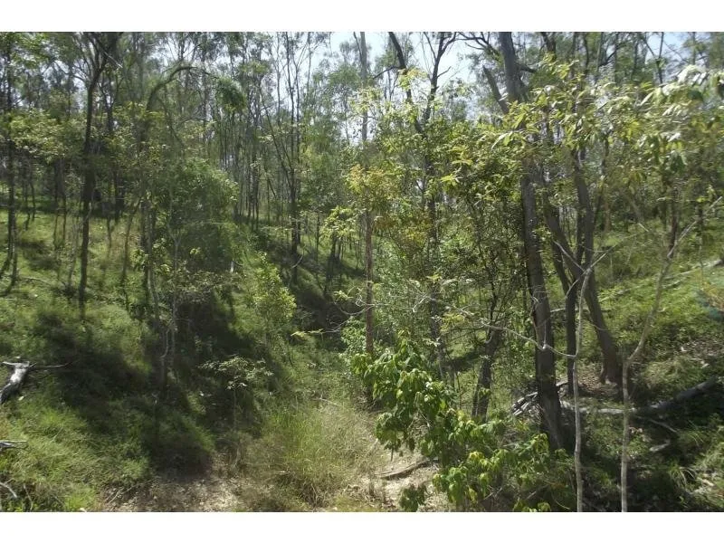 25 PRISTINE ACRES