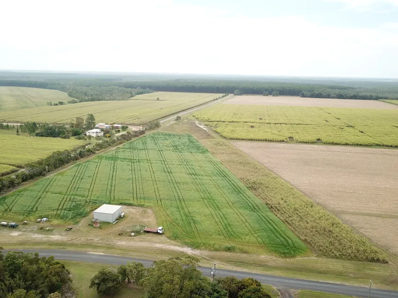 10 ACRES GOOD GREY SOIL WITH SHED