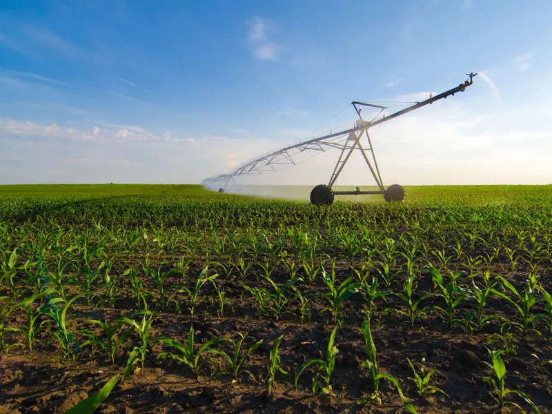 Water Licence FOR LEASE