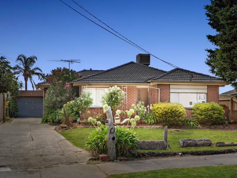 Exceptional All-Rounder