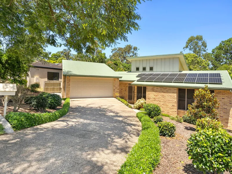 Living In The Tree Tops!