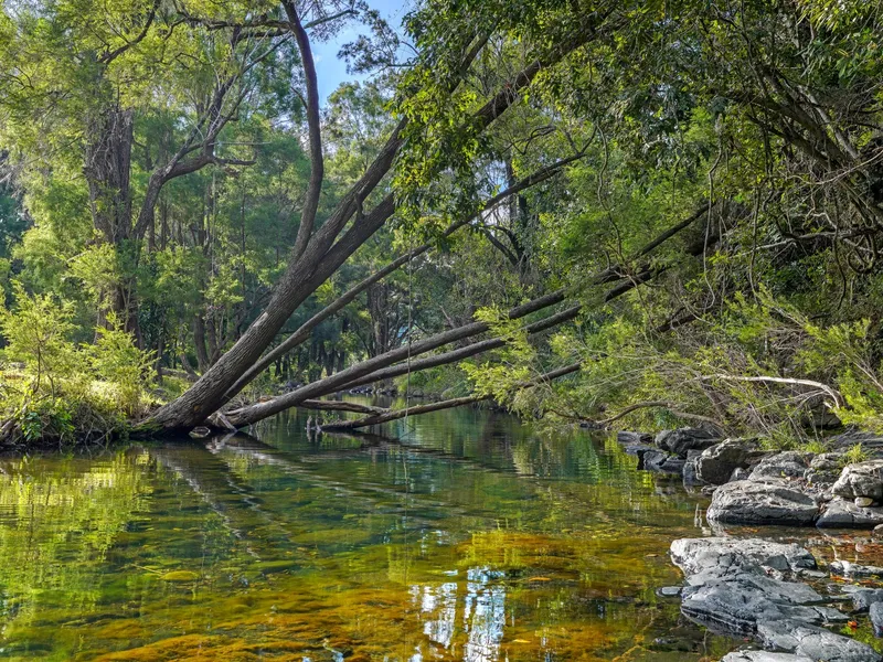 106 Acres - Unique Lifestyle Opportunity