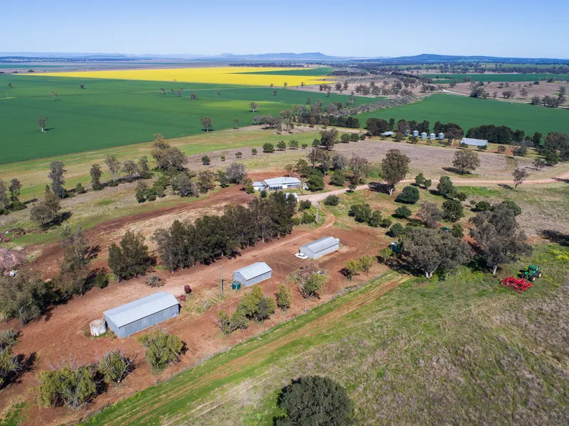 Quality Liverpool Plains Cropping & Grazing
