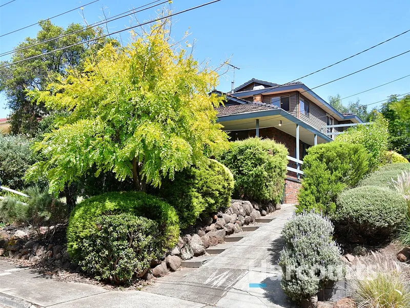 Spacious Living Soars Above The Park