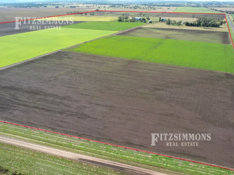 WELL RENOWNED IRRIGATION ASSIST HAY / LUCIENE FARM