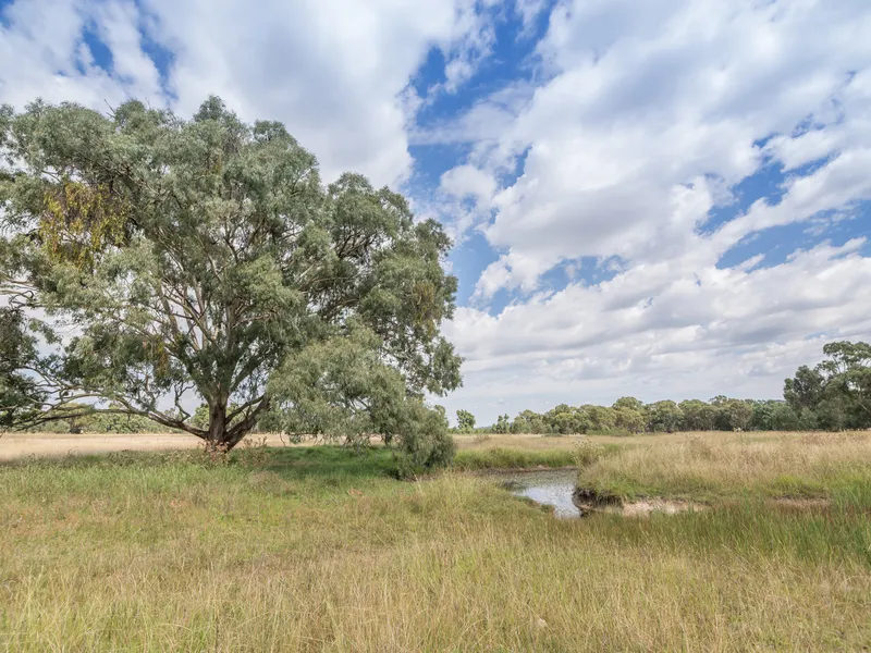 BEAUTIFUL GRAZING PROPERTY