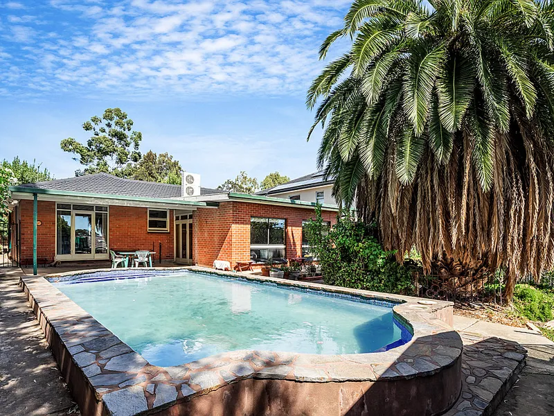 Potential Plus in Panorama