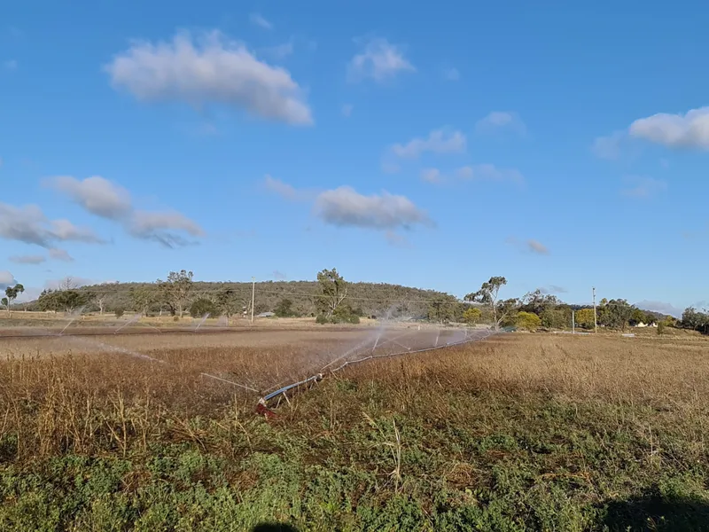 Water... It's Here, Plus Large 4 Bedroom Home with Sheds on 93 Acres!!!