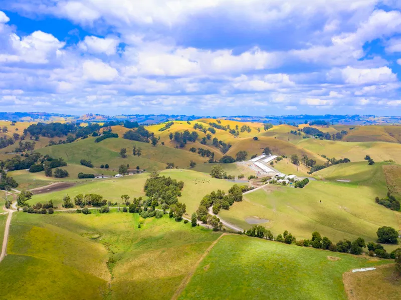 Mountain View Farm - 102.46* hectare grazing property located in Gippsland, Victoria