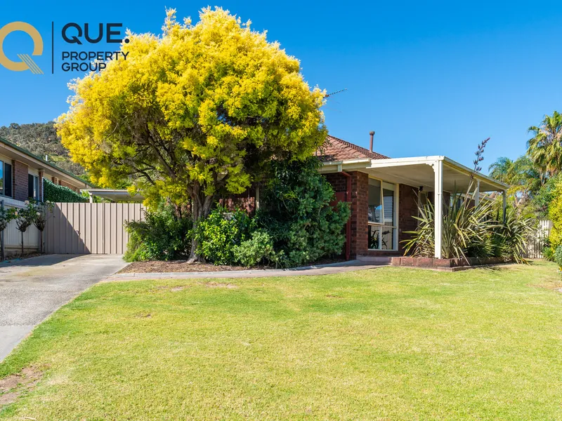 Delight on Dimbanna!