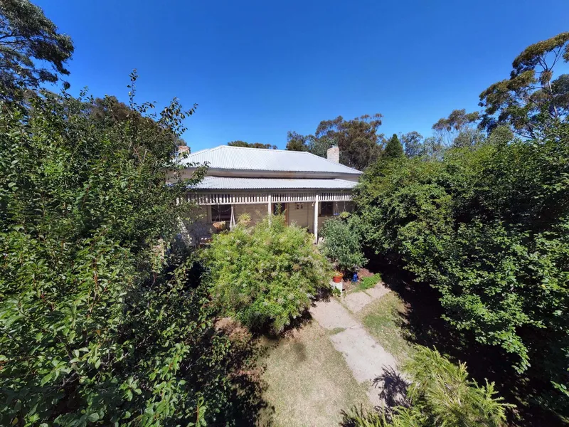Spring View a romantic miners cottage circa 1860s nestled into a leafy half acre situated at the heart of Newstead village !