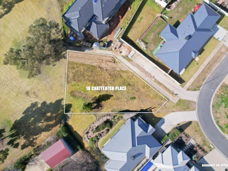 Blank Canvas in Pemberton Park