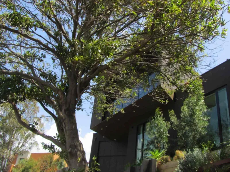 Modern Three Bedroom Unit