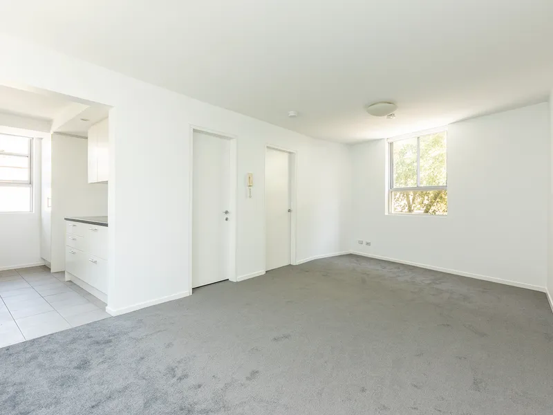 Renovated Apartment on Quiet Tree-Lined Street
