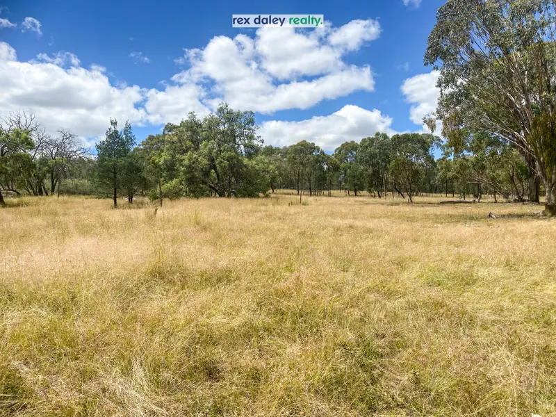 PEACEFUL, NATURAL SURROUNDINGS