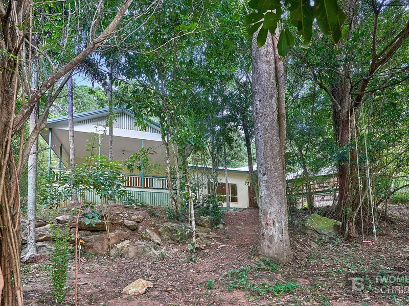 Rainforest Restoration on a 1318 m2 block!