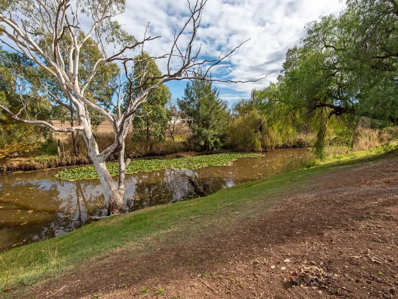 Your Own Private Paradise On 2 Separate Titles!