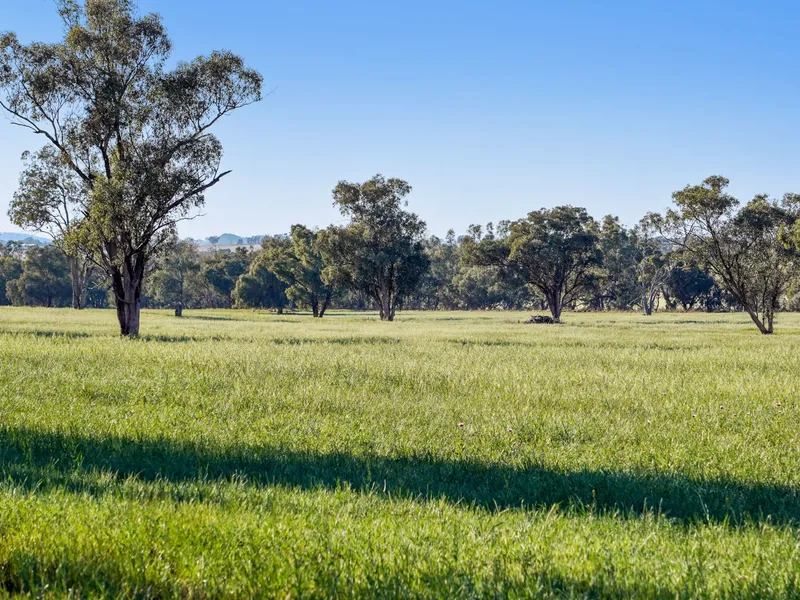 Top Shelf Property – Renowned Area