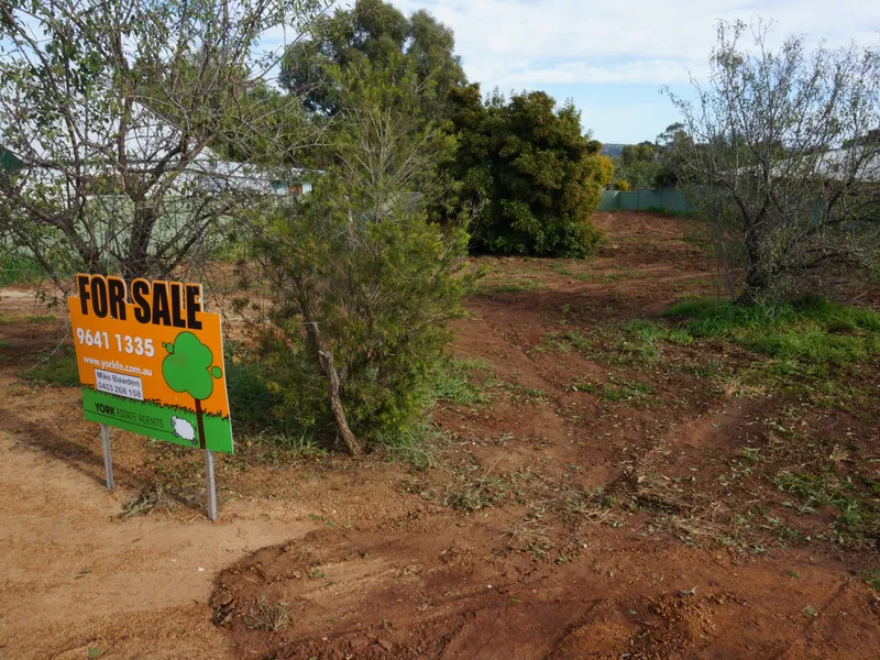 Elevated 1000m2 Block in Good Location