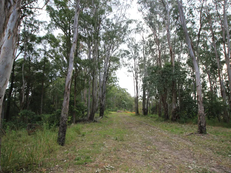 Secluded Bush Acres at Lorne Near Laurieton & Port Macquarie