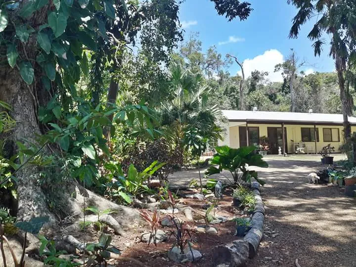 Tropical Lifestyle 3 Acre Rainforest Property