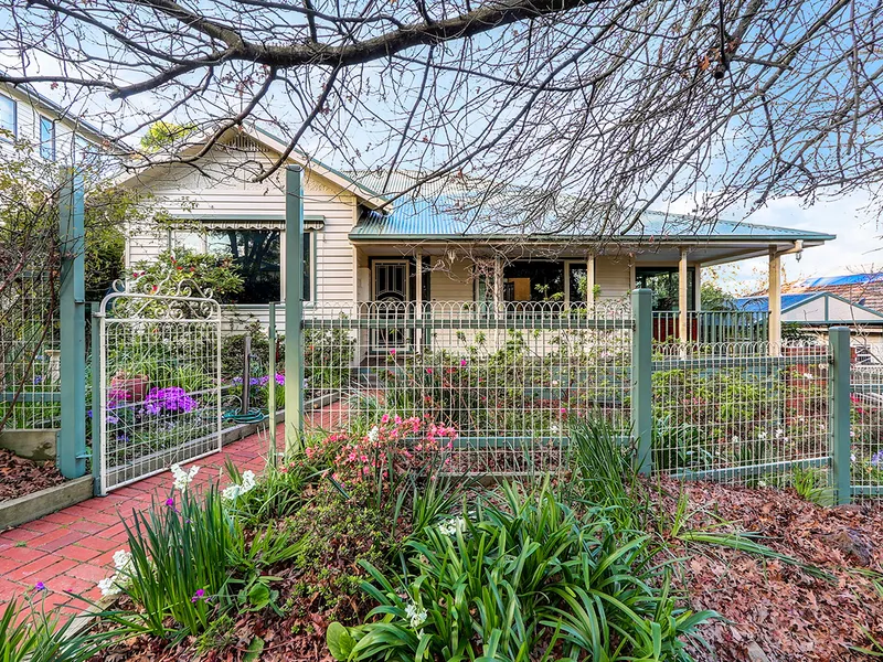 The Eternal Allure of Alto Avenue