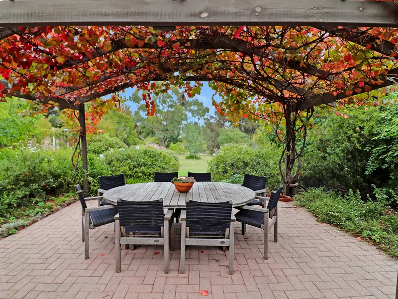 Garden oasis