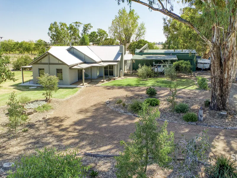 Modern Comforts Meet Serene Surroundings