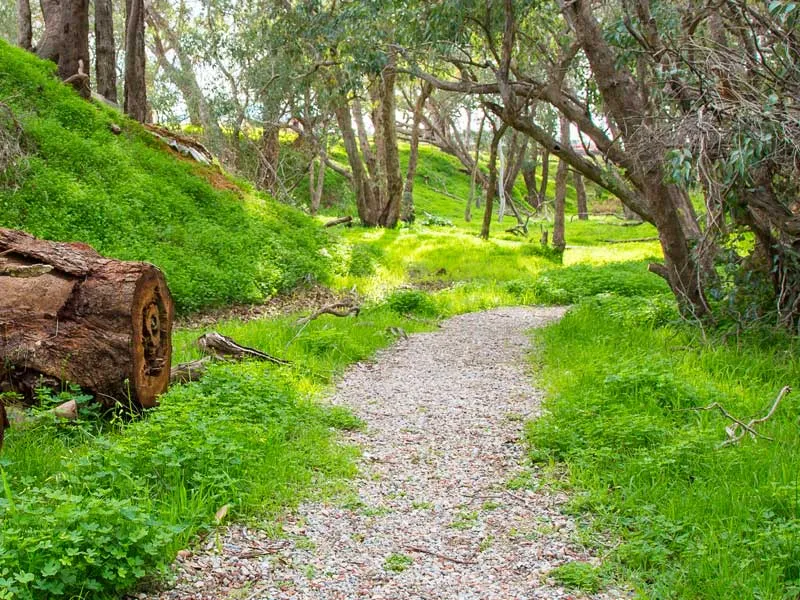 A massive 1,005 sqm, room to spread your wings