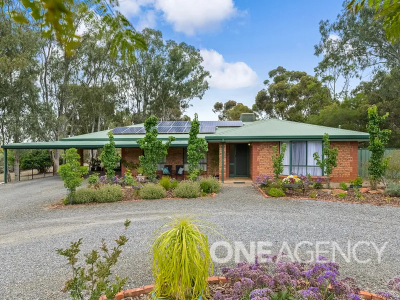 OPEN THIS SATURDAY THE 27th NOVEMBER @ 10:00-10:30am