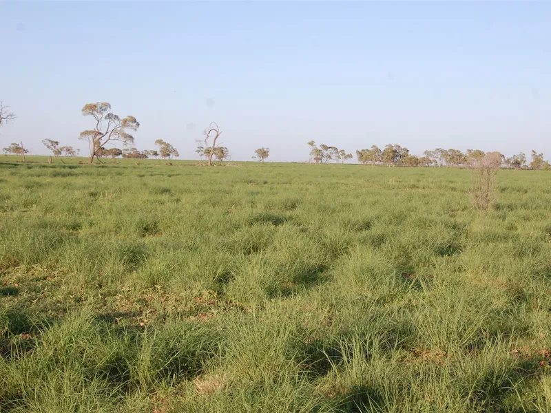 Marmboo Station Longreach
