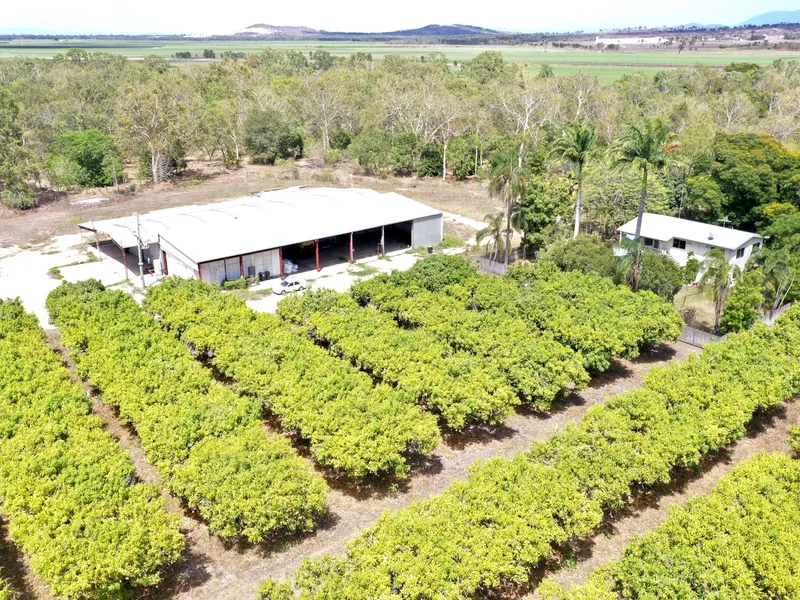 10.35 Acres - House - Large Sheds - Coldrooms - Mango Orchard