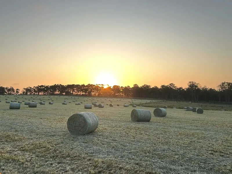 A Rare Mixed Farming Find