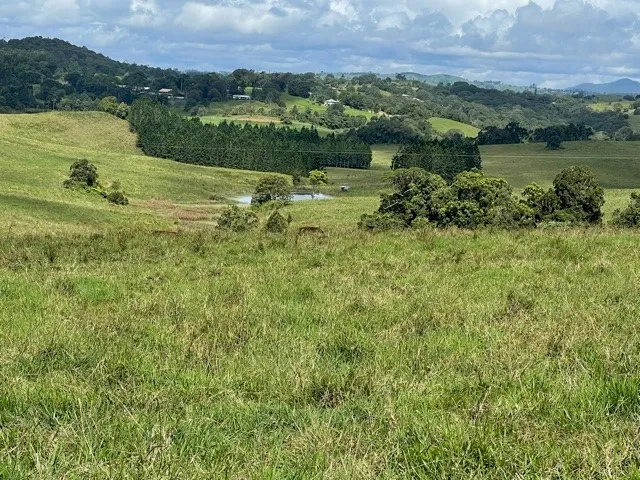 CATTLE STUD OR FATTENING OPERATION, ATHERTON TABLELANDS