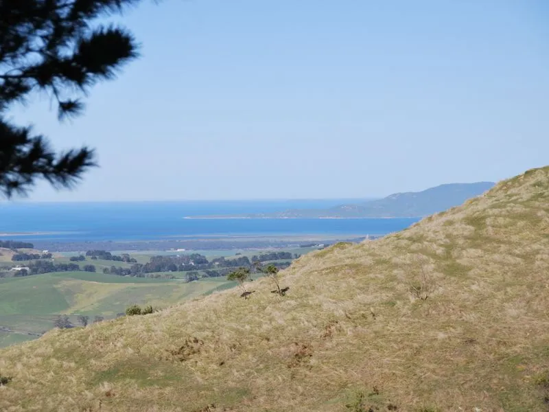Views like this - like hens teeth