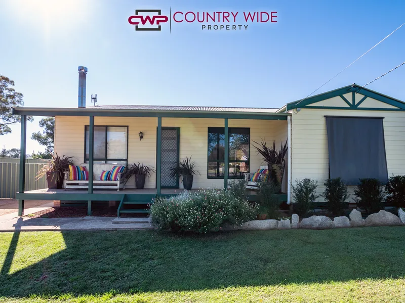 Immaculately Presented