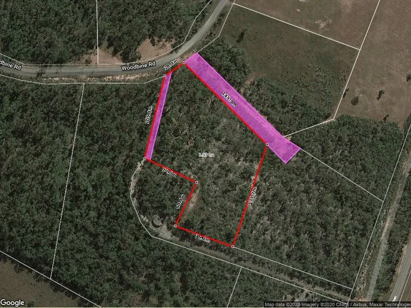 Watch the wild life run around