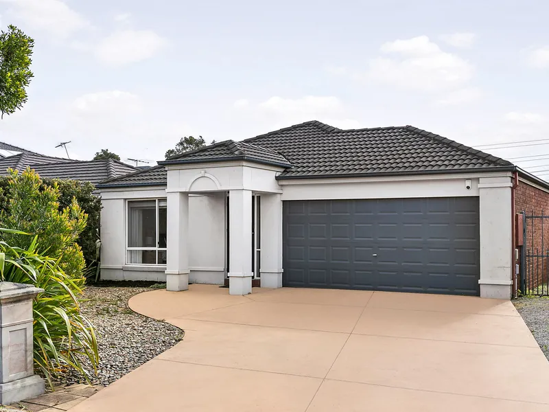 Brilliant Indoor/Outdoor Family Entertainer!