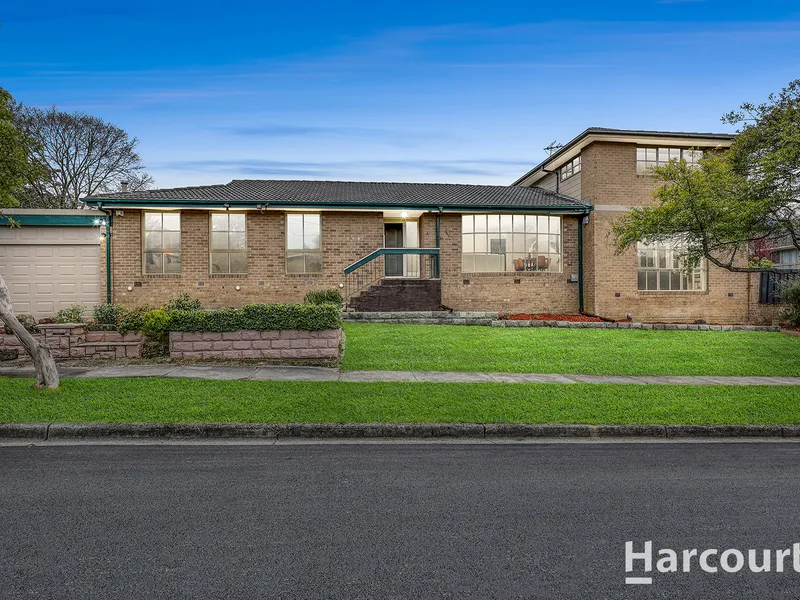 Fresh Energy, Beautiful Light, EDS Zone