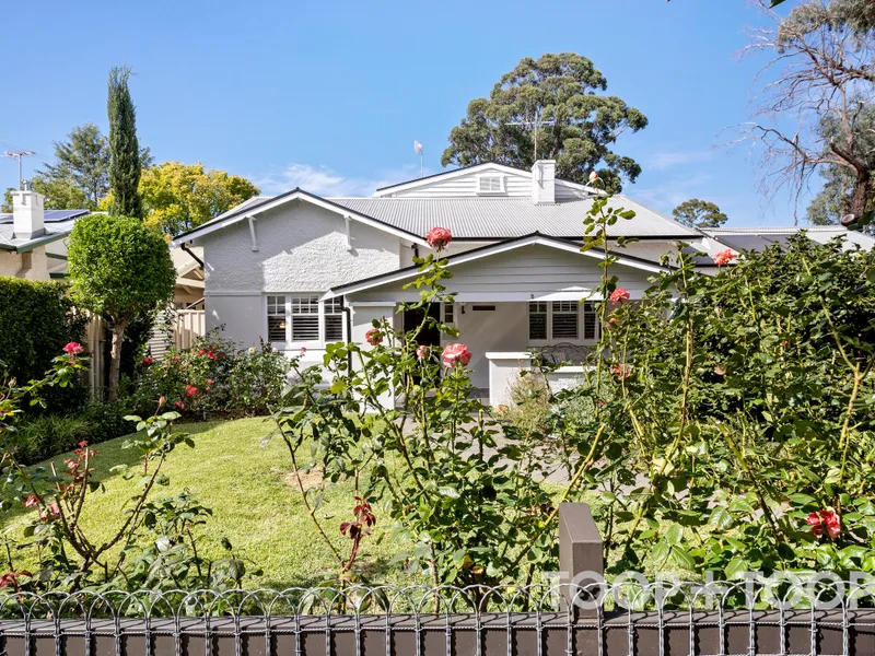 'Bellevue' - a generous family beauty