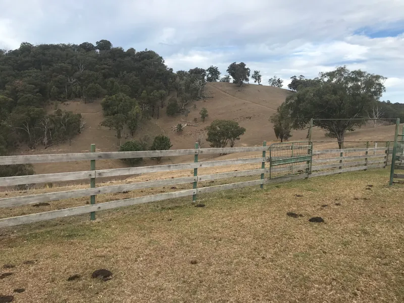 Hilly grazing 151Ha/373Ac