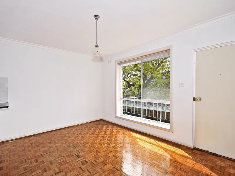 Sunny First Floor Apartment!