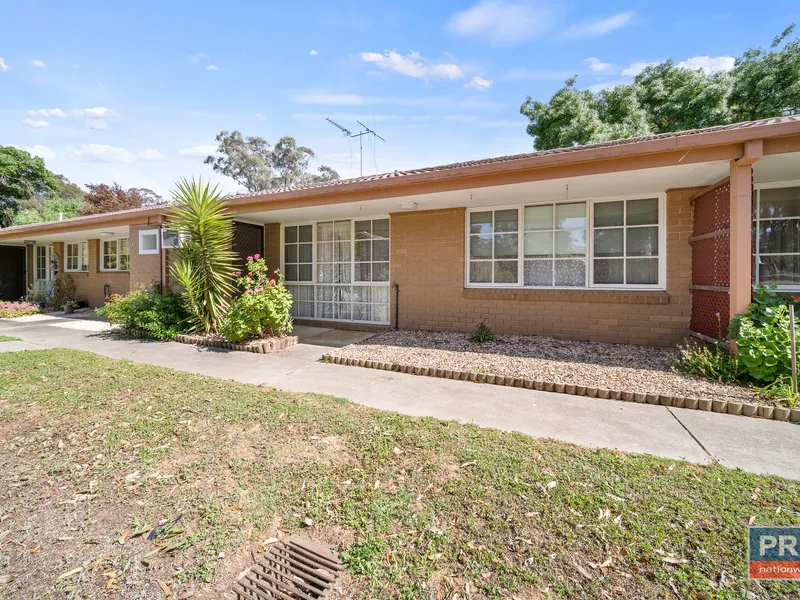 Neat Apartment Surrounded by Wonderful Amenities