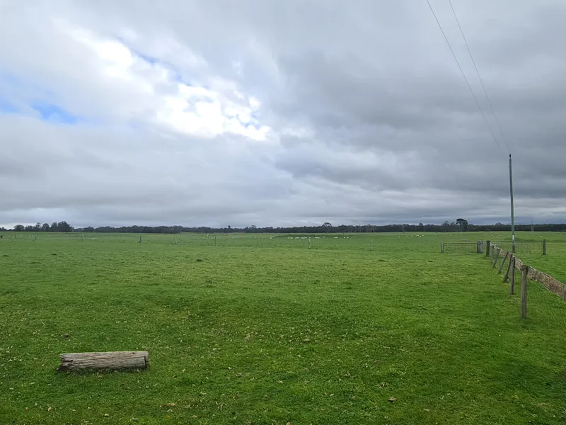 Very Productive Livestock Block in Central Location!